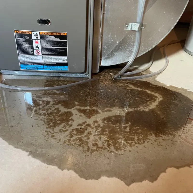 Appliance Leak Cleanup in Chico, WA